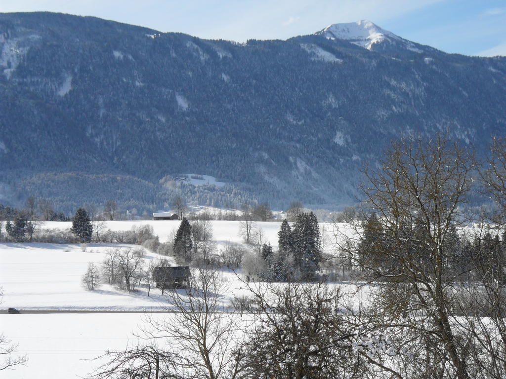 Apartamento Ferienhaus Warmuth Sankt Stefan an der Gail Exterior foto