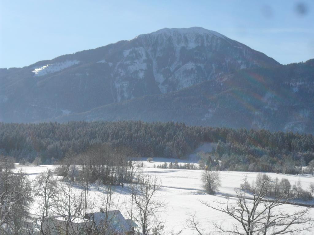 Apartamento Ferienhaus Warmuth Sankt Stefan an der Gail Exterior foto